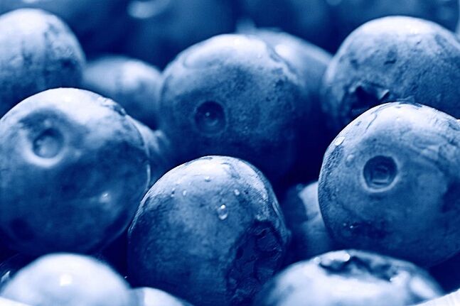Blueberries for the ketogenic diet